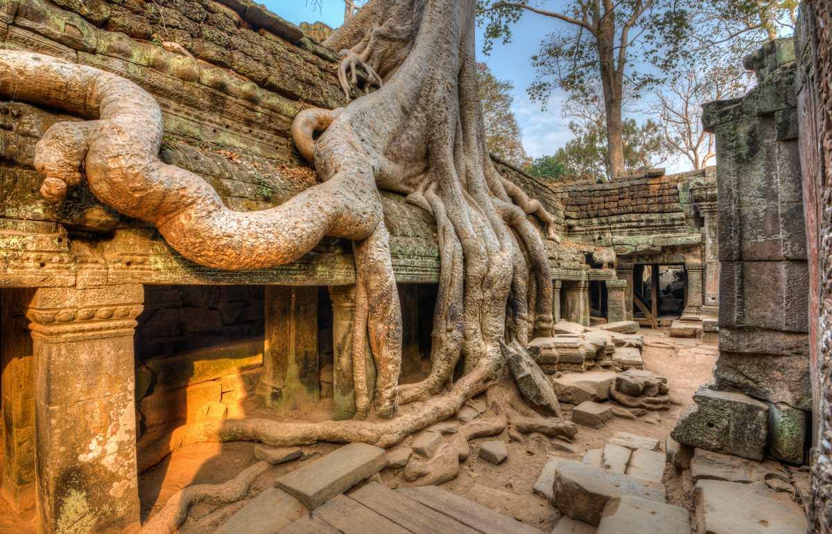Ta Prohm