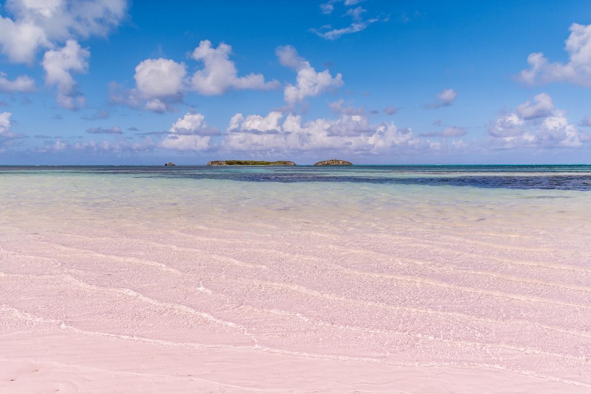 Pink Sands