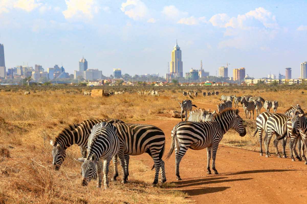 Masai Mara e Nairobi