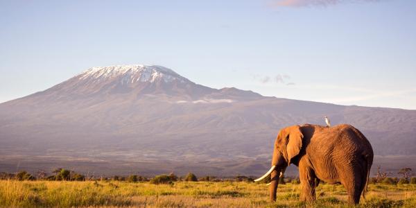 Il Parco nazionale di Amboseli