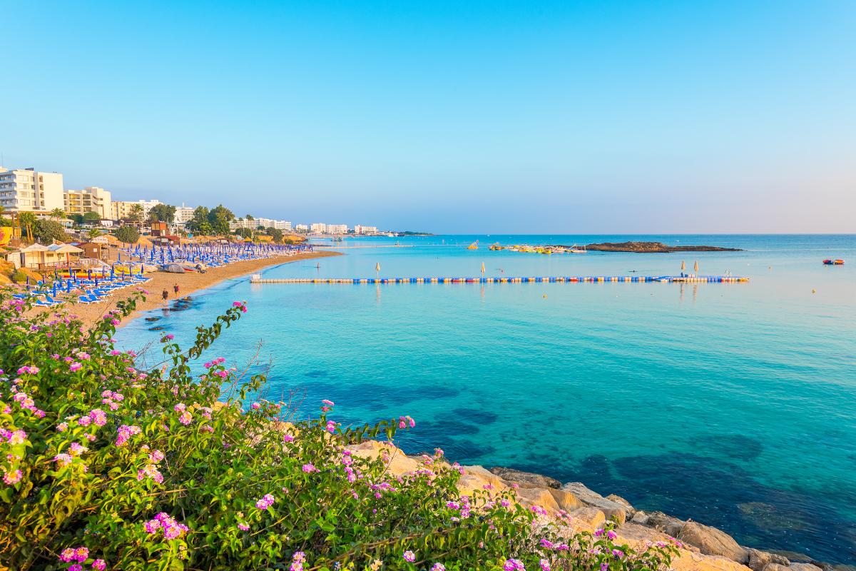 Fig Tree Bay