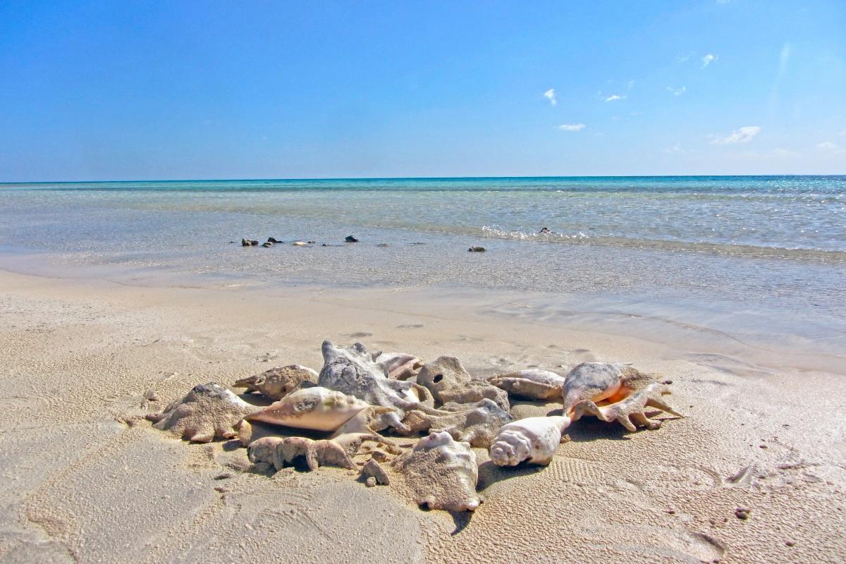 Depressione del Quattara