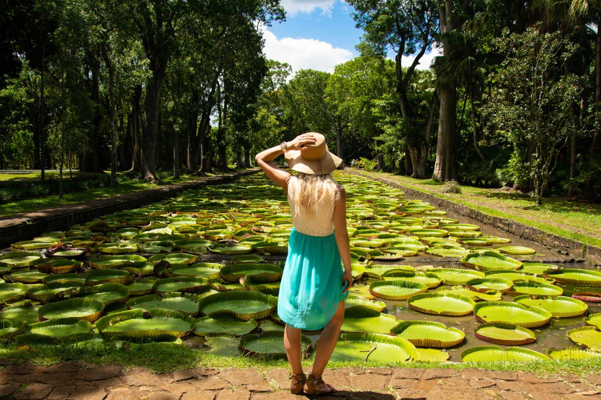 Giardino Botanico di Pamplemousses