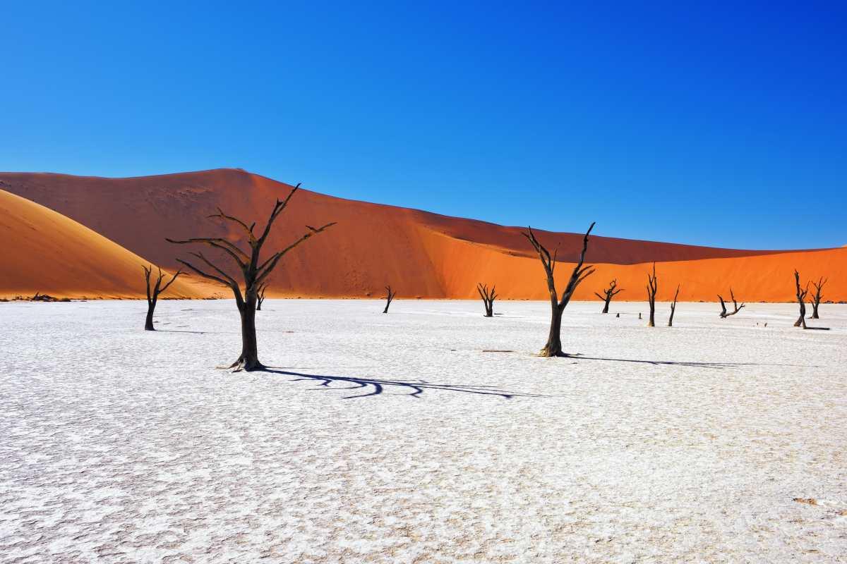 Deserto di Namib e parco di Spitzkoppe