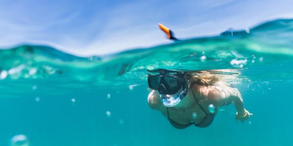 Cosa fare a Zanzibar tra snorkeling e immersioni a Mnemba Island
