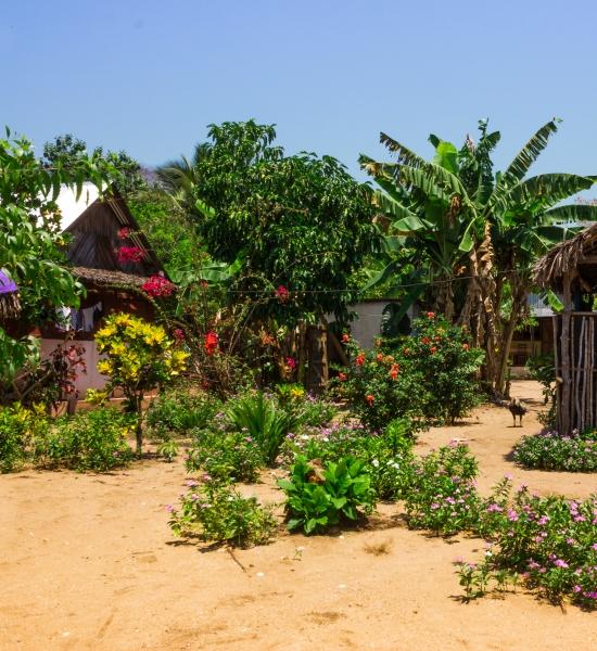 Natura Nosy Komba
