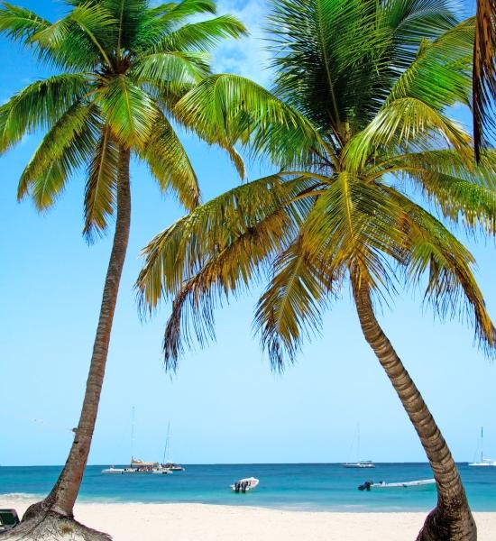 Spiagge Bayahibe