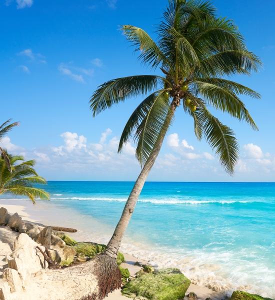 Paesaggio Playa del Carmen