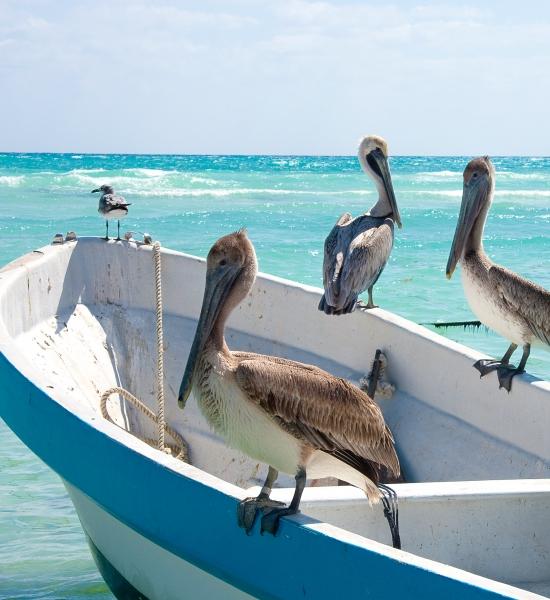 Visitare Playa del Carmen