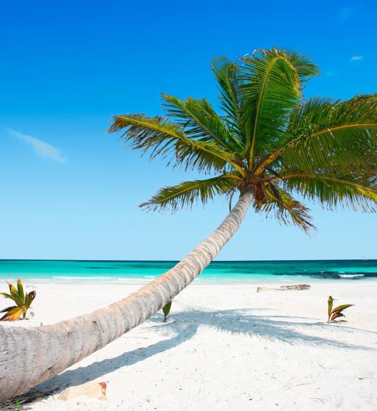 Spiaggia Akumal