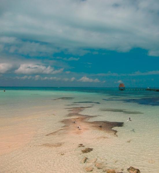 Visitare Playa Mujeres