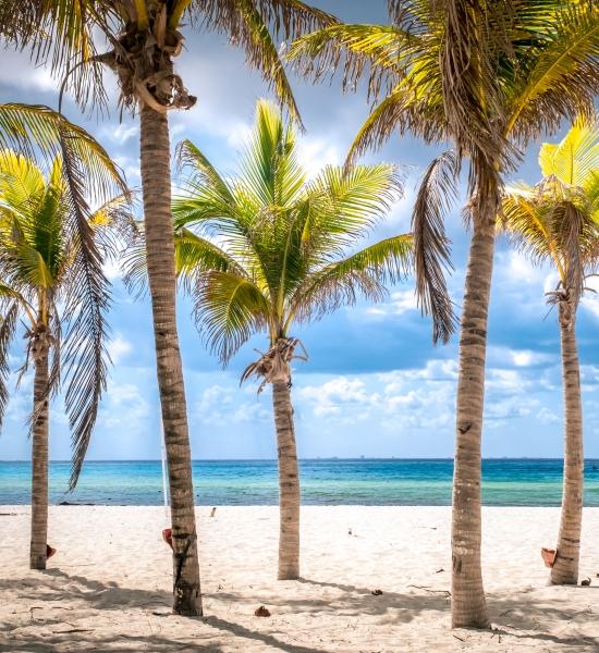 Natura Playacar
