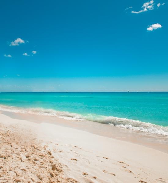 Visitare Playacar