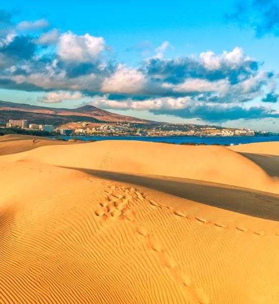 Dune Maspalomas