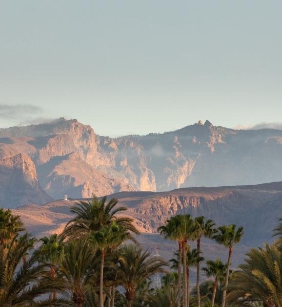 Visitare Playa del Ingles