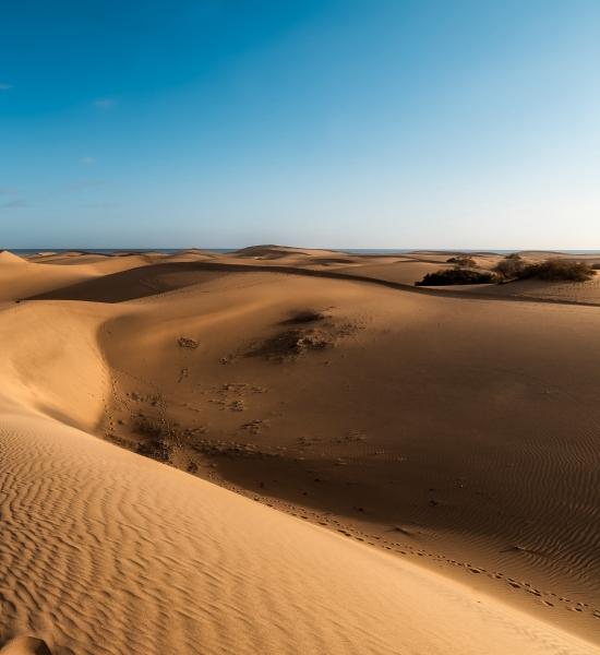 Dune di sabbia Playa del Ingles