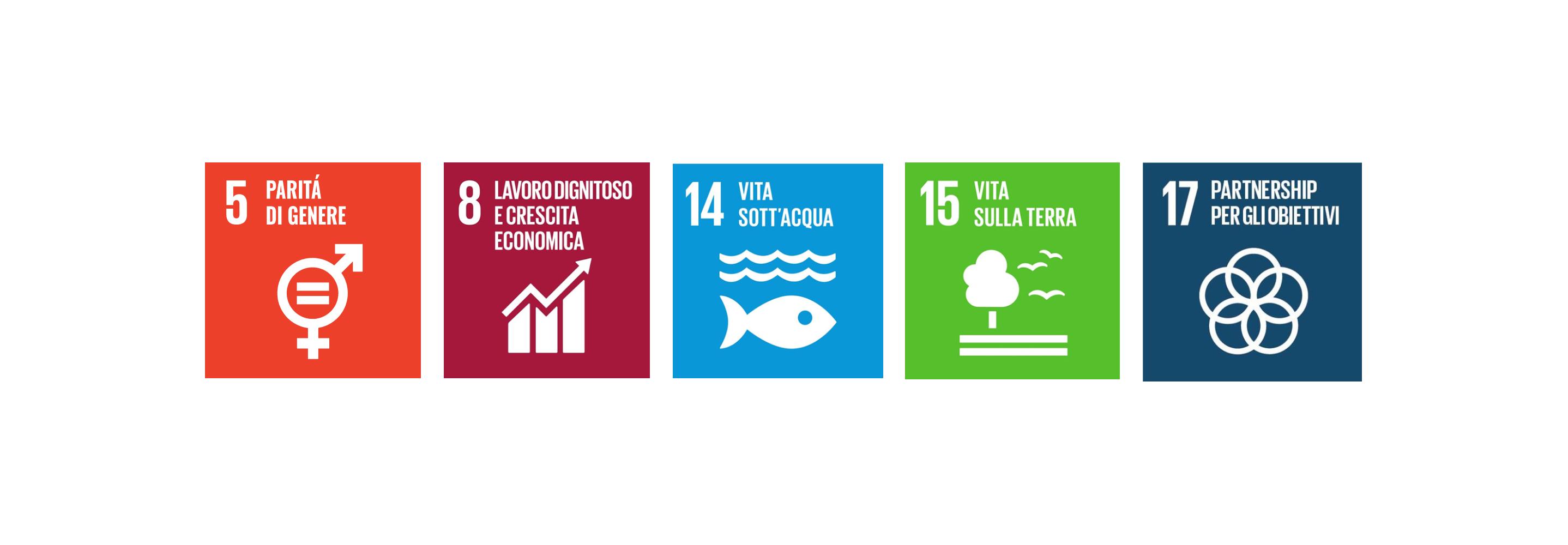 foto delle roadmap: ambiente - società - impresa 