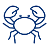 Mediterraneo