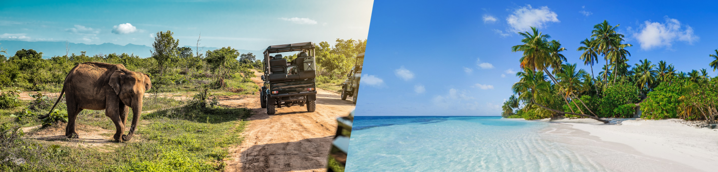 viaggio Sri Lanka e Maldive