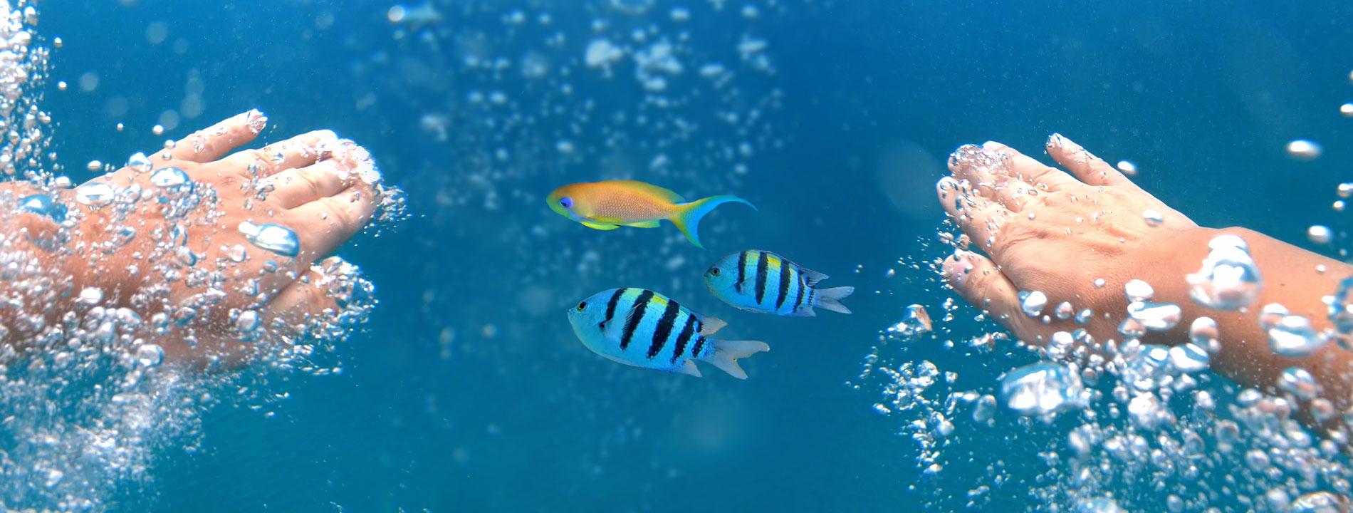 Offerte last minute Hurghada | snorkeling