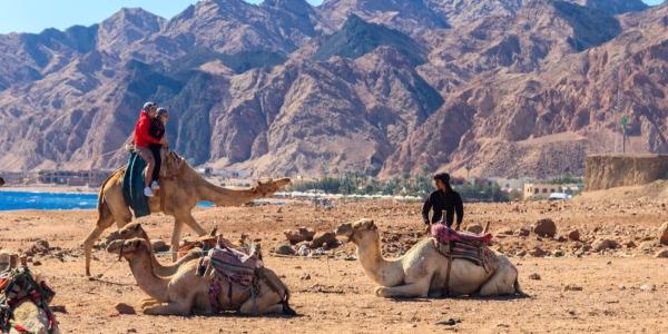  Imparare qualche parola della lingua locale 