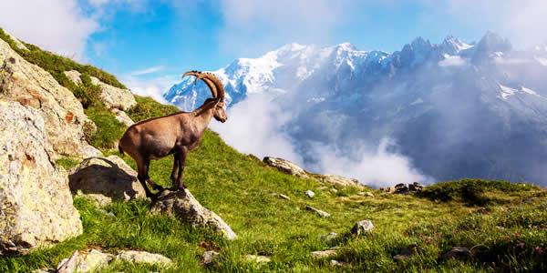 Balconata sul Bianco  