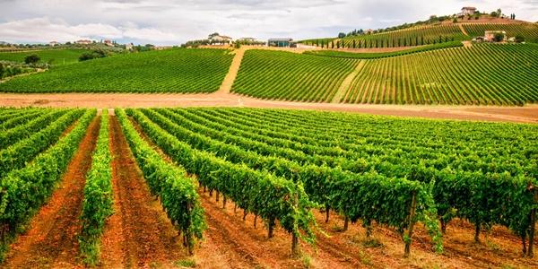 Il Gladiatore – Toscana 