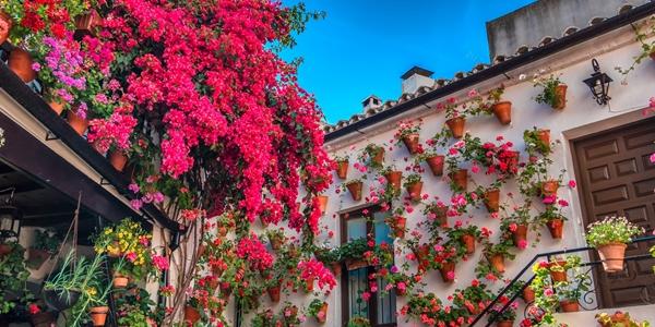 Callejia de las Flores e la Piazza