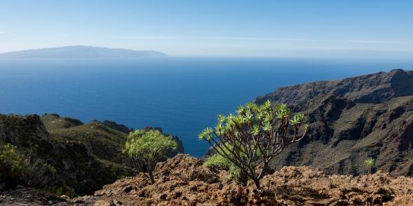 Caminos Reales – Gran Canaria