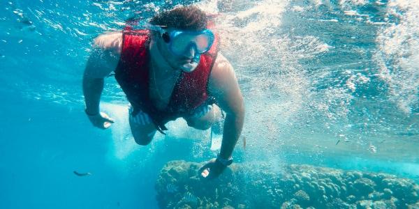 Attività e sport a Ras Mohammed