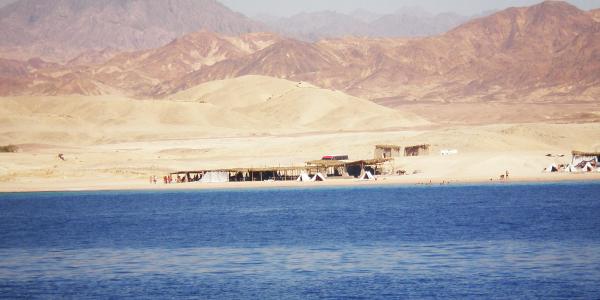 Perché visitare Ras Mohammed