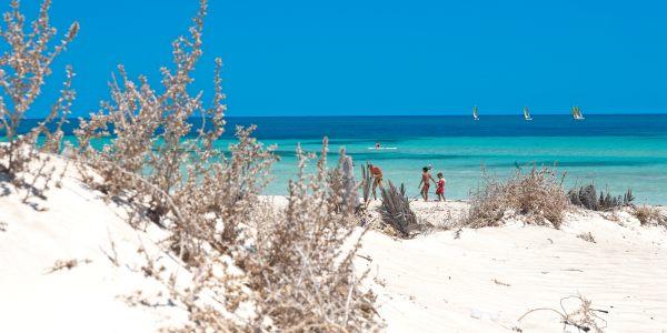 Mahdia e Sidi Alouane 