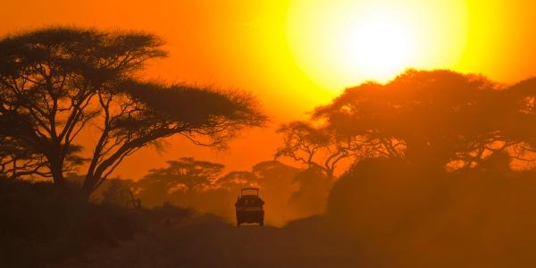 Safari Tanzania: scopri il Parco Nazionale del Serengeti  