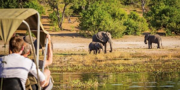 Tanzania e safari: la storia del Tarangire