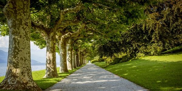 Parco Regionale Spina Verde di Como 