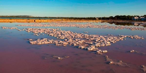 Le saline di Formentera
