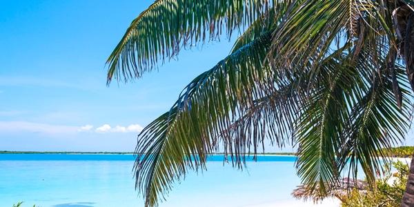 Santa Maria dell'Avana