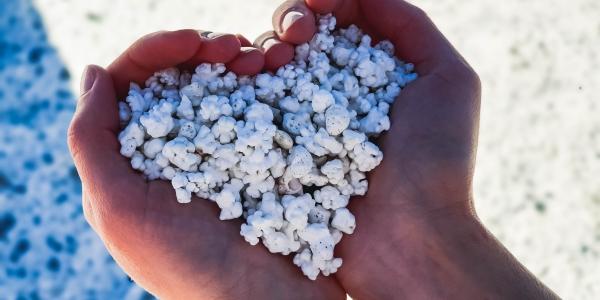 Popcorn Beach - Fuerteventura 