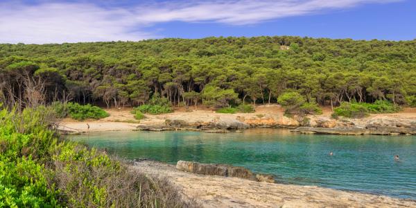 La baia di Porto Selvaggio: fra trekking e mare 