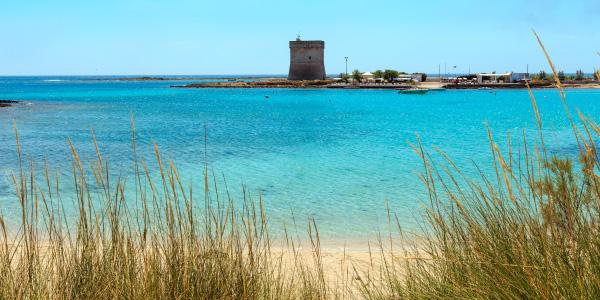 Torre Chianca: la storia dentro e fuori dall'acqua 