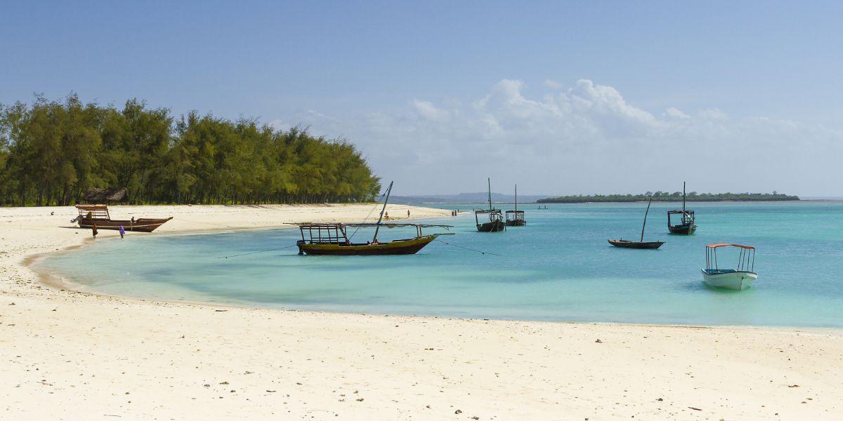 Scegliere tra Madagascar o Zanzibar