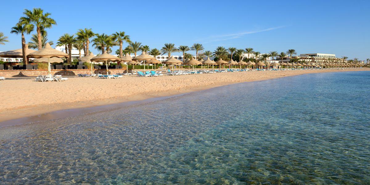 Dove andare in inverno al caldo? Scopri l’Egitto