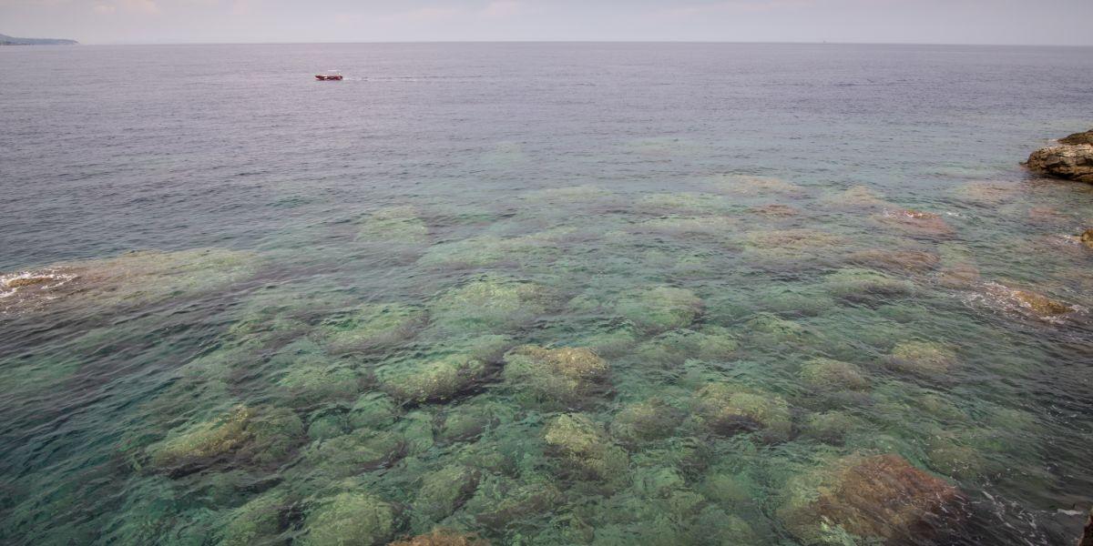 Spiagge di sabbia in Calabria: la spiaggia del Cannone 