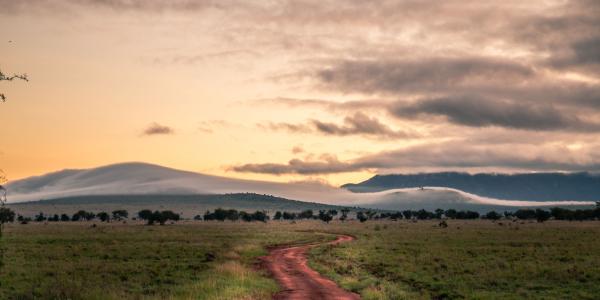 I safari da fare : Thaita Hills