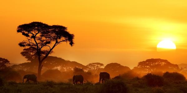 Kenya, dove andare? Scopri Tsavo Est