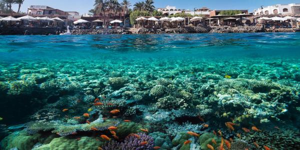 Cose da fare a Sharm el-Sheikh: relax e sport acquatici