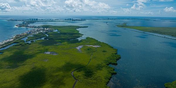 La natura incontaminata della Laguna Nichupté