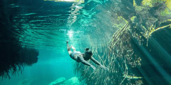 Da non perdere: snorkeling e cenote