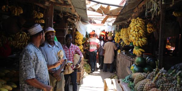 Tanzania tra shopping e natura