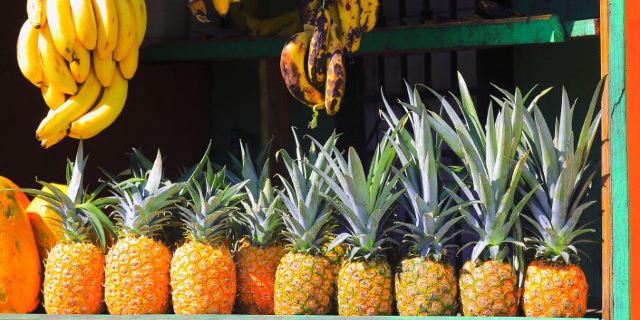 Cosa mangiare in Repubblica Dominicana 